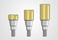 Locator abutments